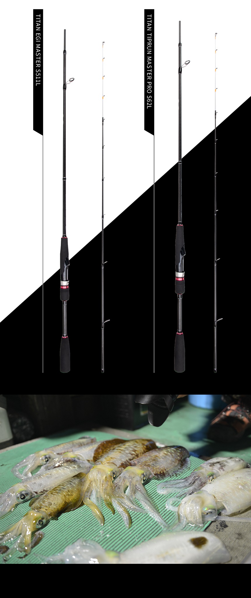 2SNLn4qTZC